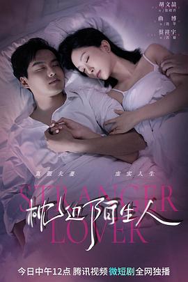 枕边陌生人,介绍海报