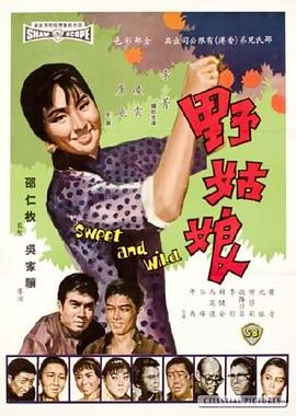 ,介绍海报