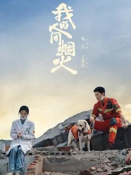 我的人间烟火,介绍海报