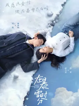 在暴雪时分,介绍海报