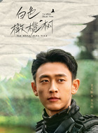 本杰明本杰明