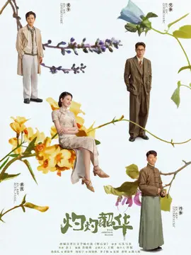 灼灼韶华剧情介绍大结局