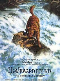 看狗在说话,介绍海报