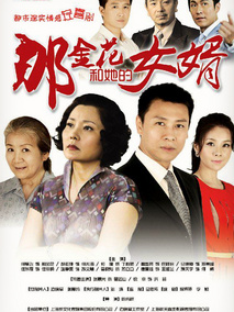 那金花和她的女婿,介绍海报
