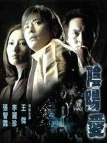 阴阳爱,介绍海报