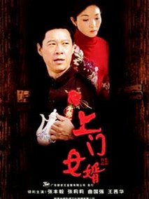 上门女婿,介绍海报