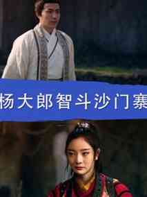 杨大郎智斗沙门寨,介绍海报