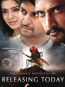 功夫小蝇,介绍海报