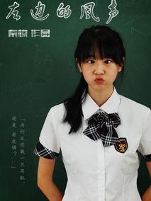 左边的风声,介绍海报
