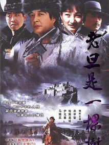 老旦是一棵树,介绍海报