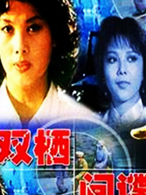 双栖间谍,介绍海报