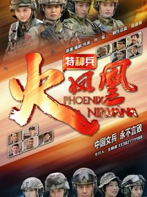 特种兵之火凤凰,介绍海报