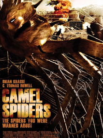 骆驼蜘蛛,介绍海报
