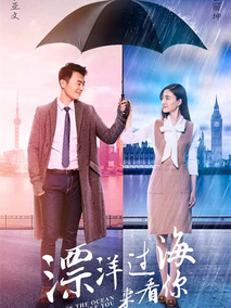 漂洋过海来看你,介绍海报
