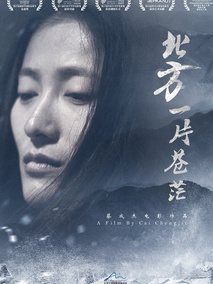 北方一片苍茫,介绍海报